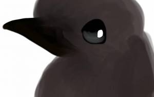 カラスさん - Tetra
