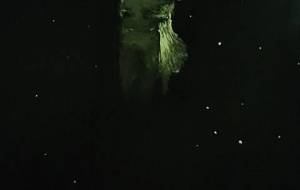 蛍の泣く夜(若き兵士と純粋な女性、苦しみ愛の恋人) - 真鍋哲地