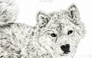 ふっきぃの柴犬 1 - 山田貴裕