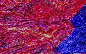 うみにゆうひ - 久保田 俊