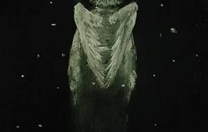 おばあちゃん、何度目の夏でしょう天使蛍 - 真鍋哲地