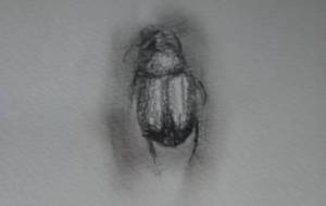 君が命尽きて死んでた(君はなんて愛らしくて可愛いいんだろう) - 真鍋哲地