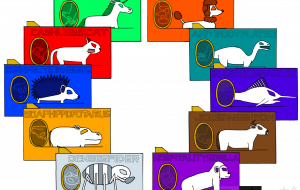 マスク入れ - フクイケンイチ