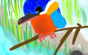 かわせみさん - Tetra