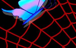 蜘蛛の巣と蝶 - すとり