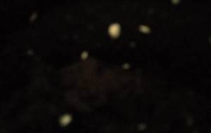 ごみの夜空ごみの星達 - 真鍋哲地