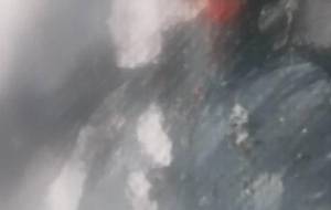 ミックスアート花飾り老人尊く美しい - 真鍋哲地