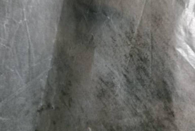 写真デッサン鉛筆顔