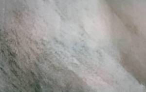 悲しみの思い逢して - 真鍋哲地