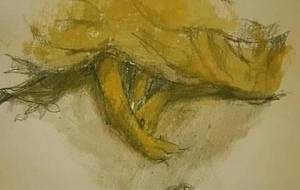 とんた、最後の君の(毛布、掛けてあげた君の亡がらに) - 真鍋哲地