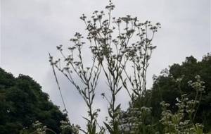 曇り空、絶望時間(思いの心から) - 真鍋哲地