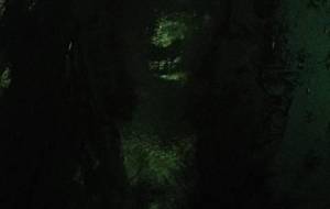 黒人(有色人種)思い、愛、家族 - 真鍋哲地