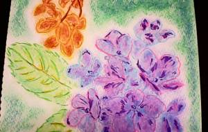 枯去今花 - 明紅葉