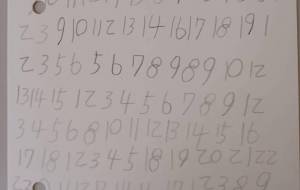 すうじ - 加舎美里