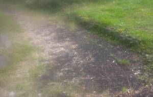 お花畑へ - 真鍋哲地