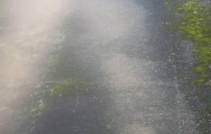 無理して誉めてくれなくてもいいょ - 真鍋哲地