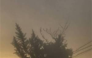 夕方、夏 - 真鍋哲地