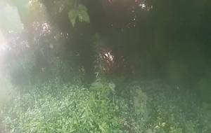 こもれびの夕暮れ - 真鍋哲地