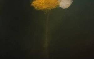 真鍋花華蝶永遠 2 - 真鍋哲地