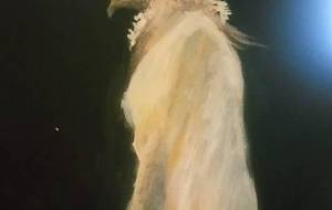 華鳥神ホルス - 真鍋哲地