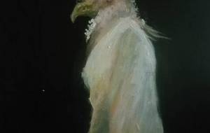 パンクスタイル、ホルス神 - 真鍋哲地