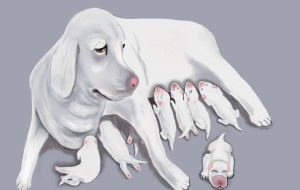 母犬と子犬 - 【イベント】可能性アートプロジェクト 2024 