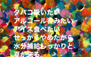 夏が来る - 笹谷正博