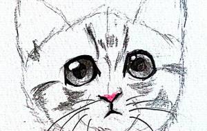 ねこさんさん - しろ