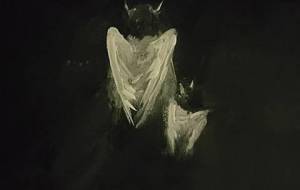 鬼天使親子、差別から逃れて - 真鍋哲地