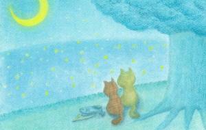 夜の地球を見下ろす猫 - Cano