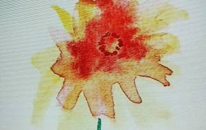 花火の花 - ぴぴ