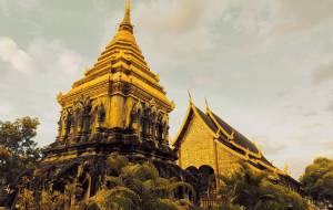 完全ゴールド化 - Amy