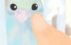 我が家のセキセイインコ、ラムネ君 - Tetra