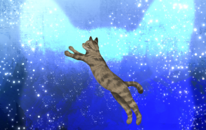 無限の星空と猫 - 【イベント】可能性アートプロジェクト 2024 