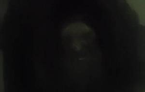 老女神あるいは、認知症の愛(尊厳) - 真鍋哲地