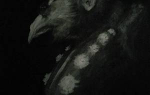 彼岸花老鴉天狗(愛する人間達へ) - 真鍋哲地