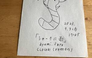 シャークに雨 - cocoa remon