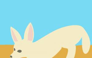 砂漠のフェネック - ちろ