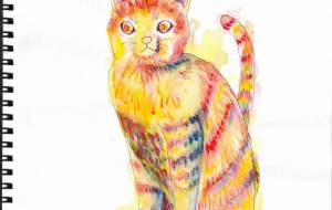 カラフルキャット - 草地美波