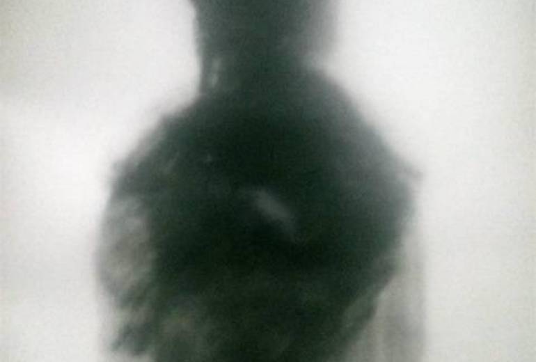 仏様、涙がでる、永遠、永遠（心が震えます）