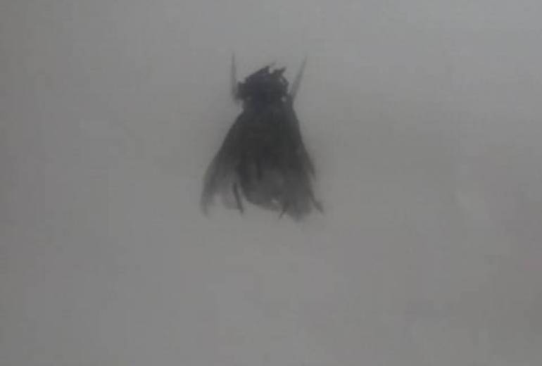 例えば世界が君を、でも僕は君が