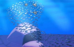 イワシの大群 - 【イベント】可能性アートプロジェクト 2024