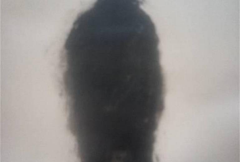 心が壊れてもぼろぼろでも、いつもいつも、思ってる