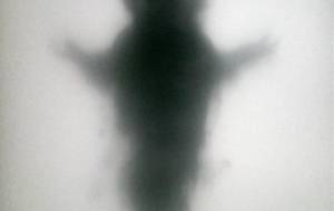 精神障がい者(身体的障害者)障害者特殊能力(神妄想) - 真鍋哲地