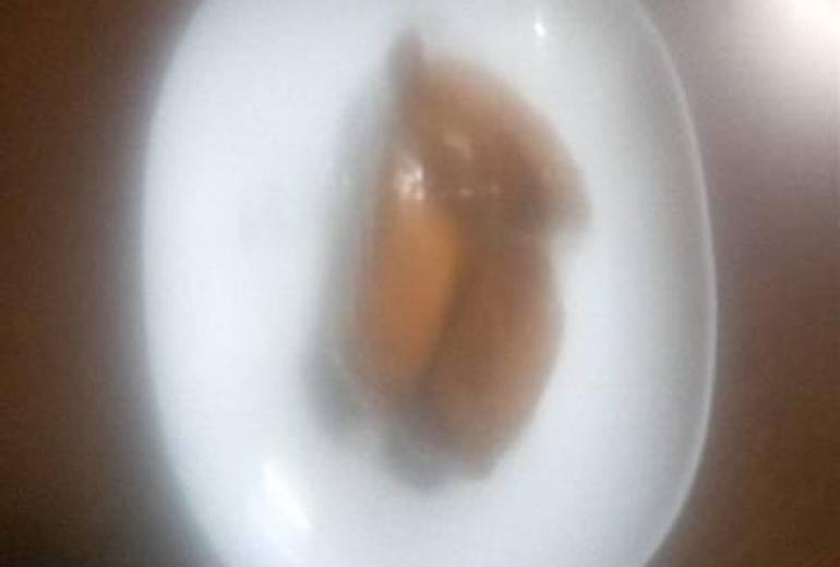 妹、父へのプレゼント料理インスタレーション（涙いなり寿司作品）スーパー、マーケット美術館で