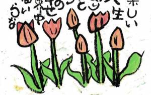 チューリップ - かづみ