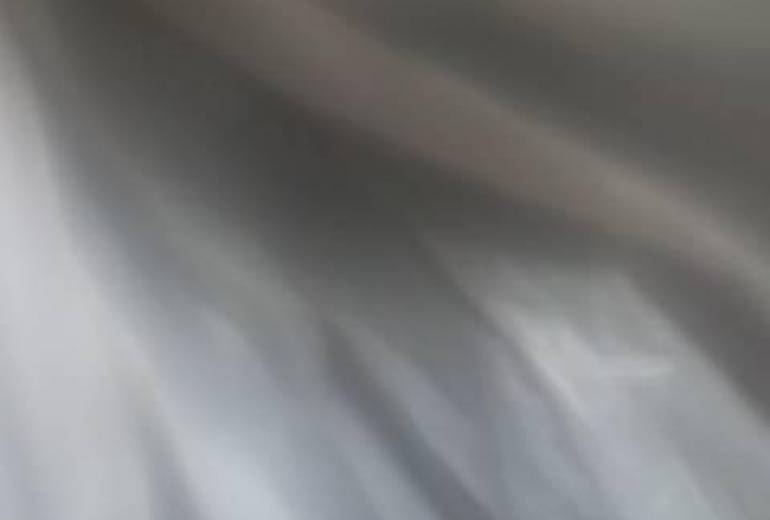 君、夜部屋に飛んできた（カナブン君を）助けた、君が笑ってた気がした