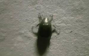 夏の日、夏の日、静かに笑う、(君みたいに) - 真鍋哲地