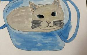 バケツに入る猫 - わらび