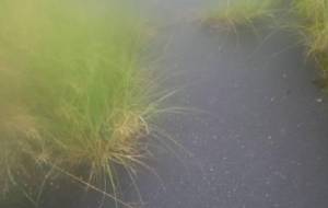 雨の日の道(僕の人生みたいな) - 真鍋哲地